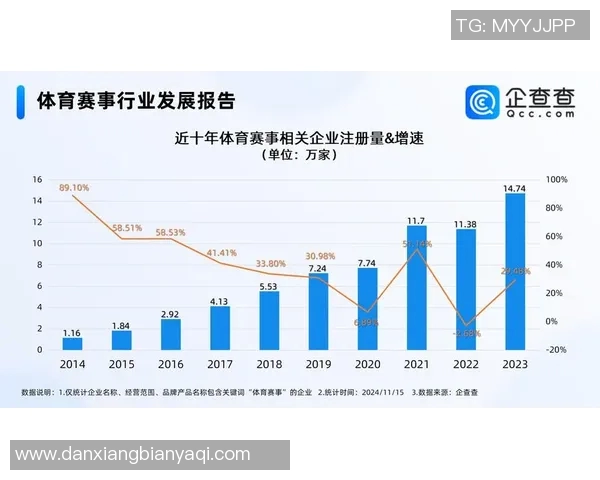 体育赛事票价调查分析：影响因素、趋势变化与消费者需求研究
