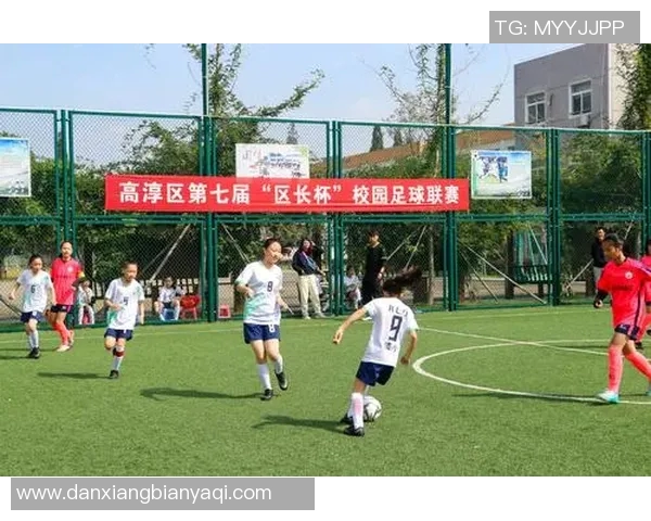 足球联赛球队赛季表现与体能分布之间的关联性研究与分析 足球联赛球队赛季表现与体能分布之间的关联性研究与分析